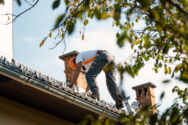 Quick and Trustworthy Emergency Roof Repair Services in Carrollton, VA