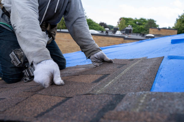 Best Flat Roof Repair Services  in Carrollton, VA