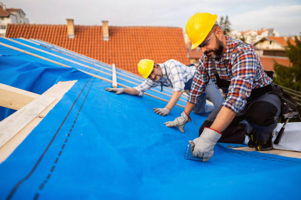 Best Gutter Installation and Roofing  in Carrollton, VA