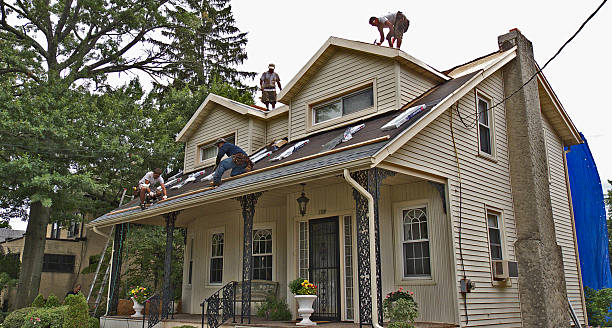 Best Metal Roofing Contractor  in Carrollton, VA