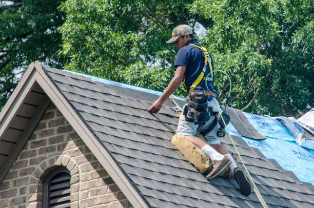 Best Roofing Contractor Near Me  in Carrollton, VA